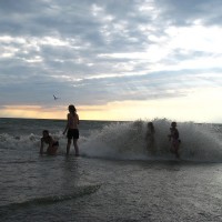 lake2010e
