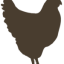 brown hen