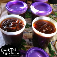 crock pot apple butter