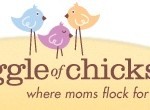 A Gaggle Of Chicks A Gaggle Of Chicks