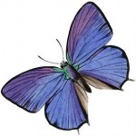 99810x-002