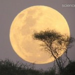 Perigee Moon 2011 Perigee Moon 2011
