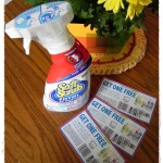 soft scrub total all purpose cleaner review