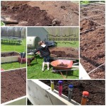 raised bed garden manure