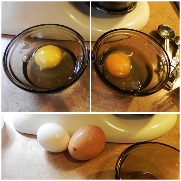 color difference between store bought and fresh eggs