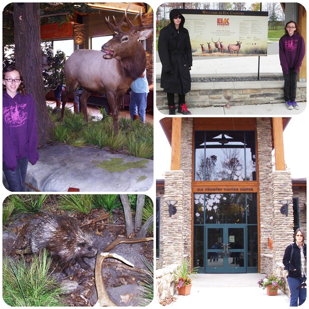 Elk Country Visitor Center Benezette, PA
