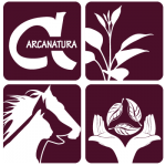 Arcanatura logo