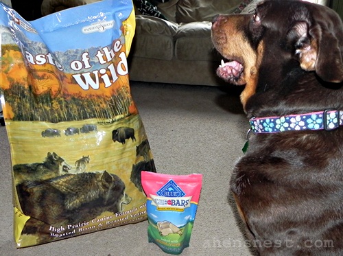 Ginger can't wait to dig into her Mr.Chewy treats!