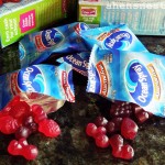 ocean spray fruit snacks