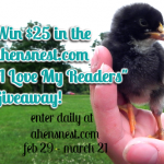 ahensnest.com March giveaway