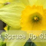 spring spruce up giveaway