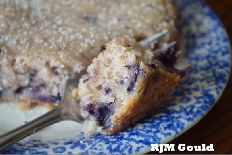 virtuousgirlhood.com blueberry cake recipe