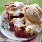 Schwan's rhubarb berry pie