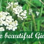 April gift card giveaway
