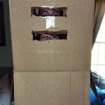 fun with a box