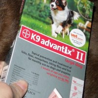 K9 Advantix II dogs