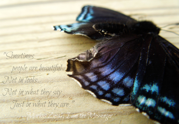 quote butterfly