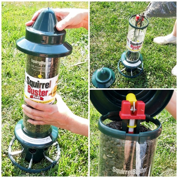 filling the squirrel buster bird feeder with seed