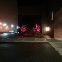 pink lights at the womens hospital