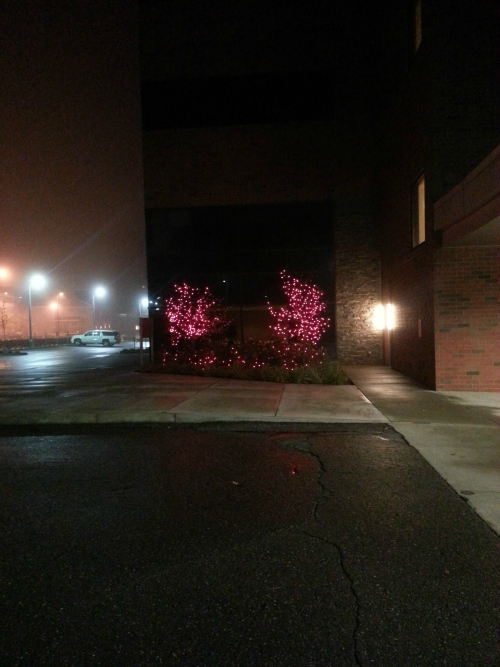 pink lights at the womens hospital