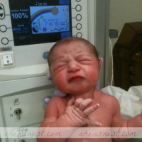 granddaughter2-112012