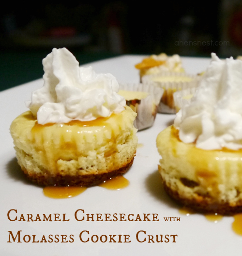 caramel cheesecake with molasses cookie crust