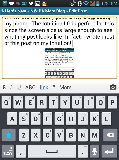 Writing WordPress blog posts on Intuition LG