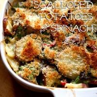 scalloped potatoes spinach lactaid recipe