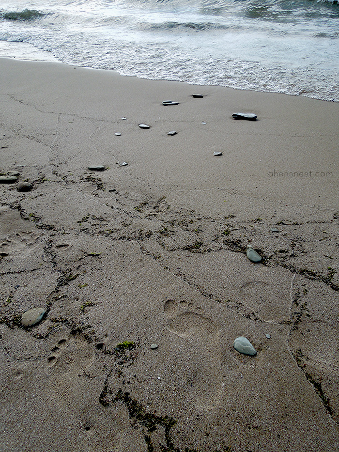 Presque Isle State Park Lake Erie Pennsylvania - footprints in the sand