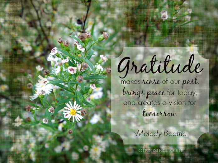 thanksgiving-quote-gratitude