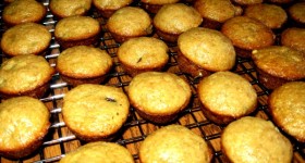 mini banana muffins