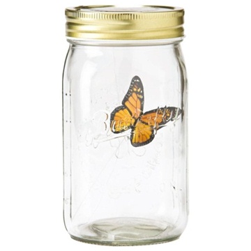 Animated My Butterfly In Jar