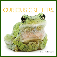 Curious Critters Book