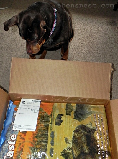Ginger checks out her package from Mr.Chewy