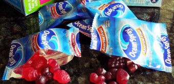 ocean spray fruit snacks