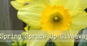 spring spruce up giveaway