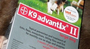 K9 Advantix II dogs