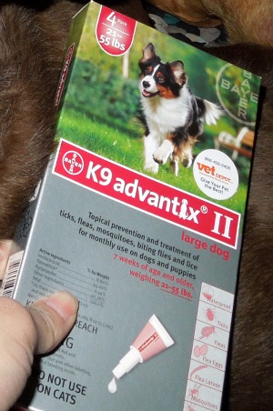 K9 Advantix II dogs