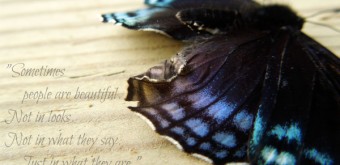 quote butterfly
