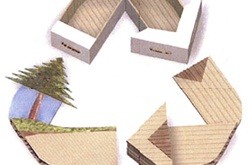 Choosecartons.com