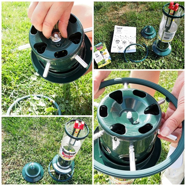 assembling the squirrel buster feeder