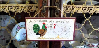 chickens everywhere