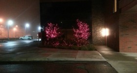 pink lights at the womens hospital