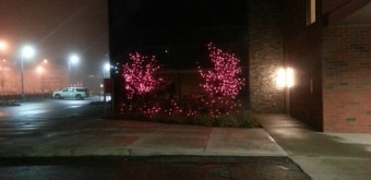 pink lights at the womens hospital