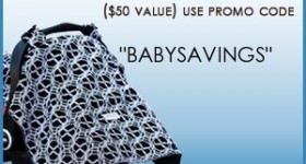 Free Carseat Canopy offer!