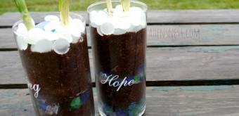 spring potted bulb craft project