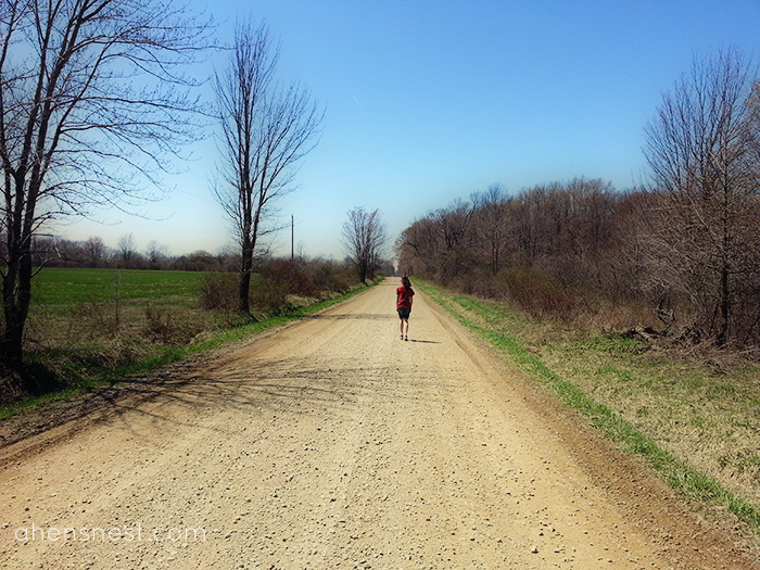 spring walk on a dirt road - headed home