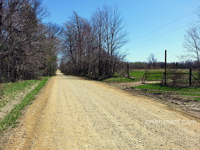 spring walk down our dirt road