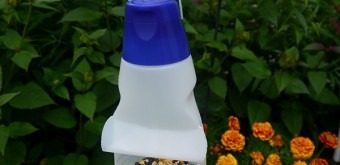 international-delight-birdfeeder-craft