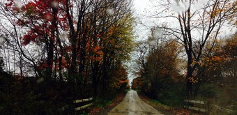 oct23-2013 autumn foliage NW PA dirt road